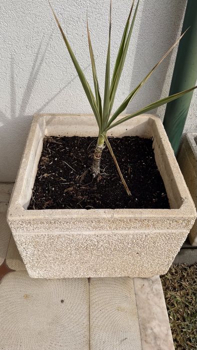 Vaso quadrado – excelente estado