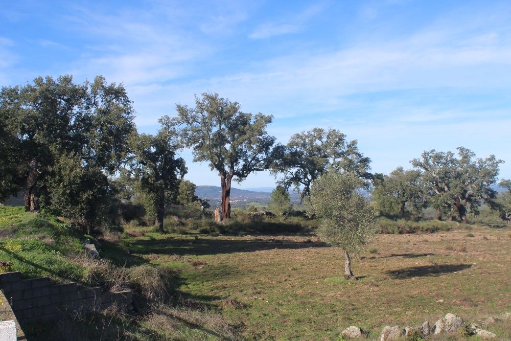 Terreno Aldeia Santa Margarida