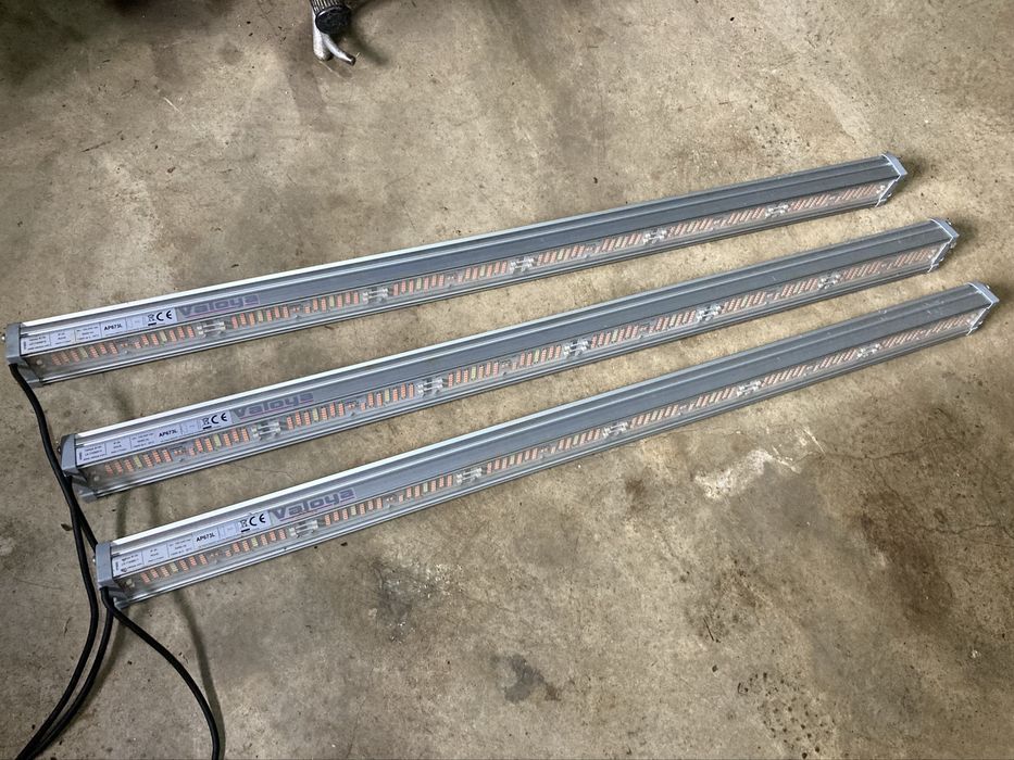 Luz de cultivo indoor ou hidroponia profissional