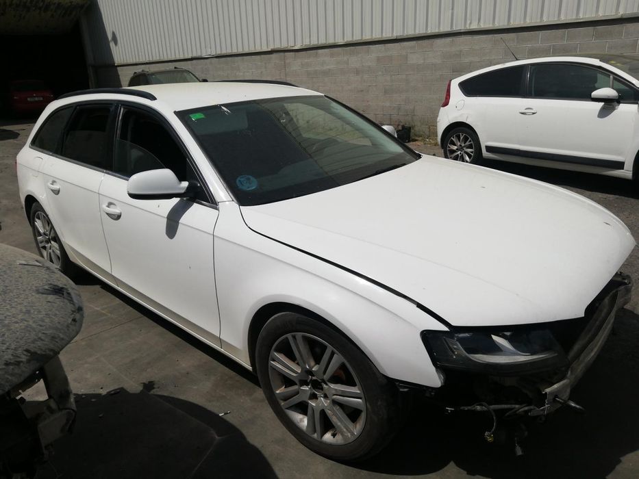 Cardan Trasero Audi A4
