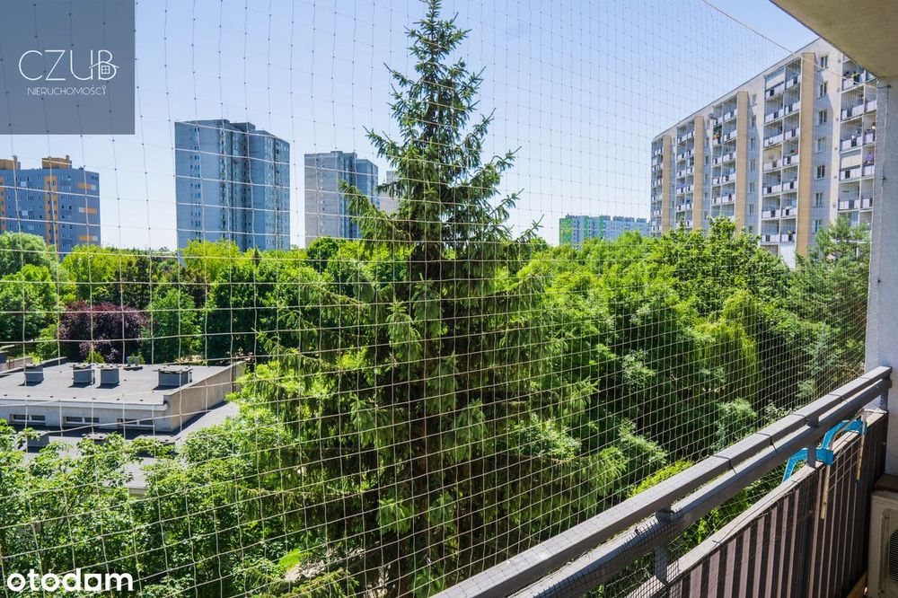 Os. Orła Białego / winda / balkon / przestronne / niezależne - View 4