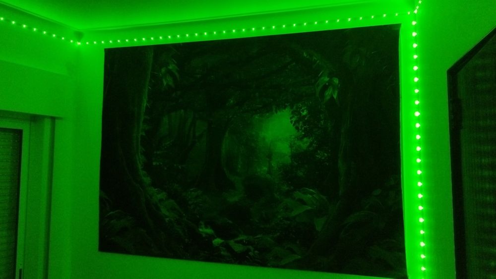 Massagens Profissionais/ Profissional Massages