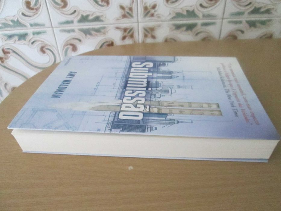 Submissão de Amy Waldman