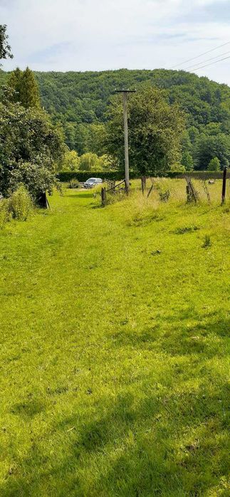 Продам земельну ділянку в с. Рокитне ( Бірки ) - Вид 5