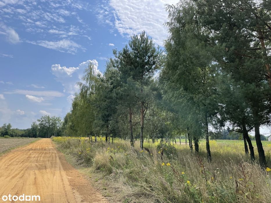 Działki budowlane z WZ blisko plaży i zalewu 1000 m², 3000 m² i 7618 m² – pohled 5