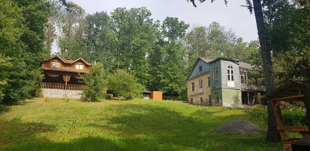 Продам будинок + парк 2 Га в Старому Мерчику | варіант для себе та бізнесу