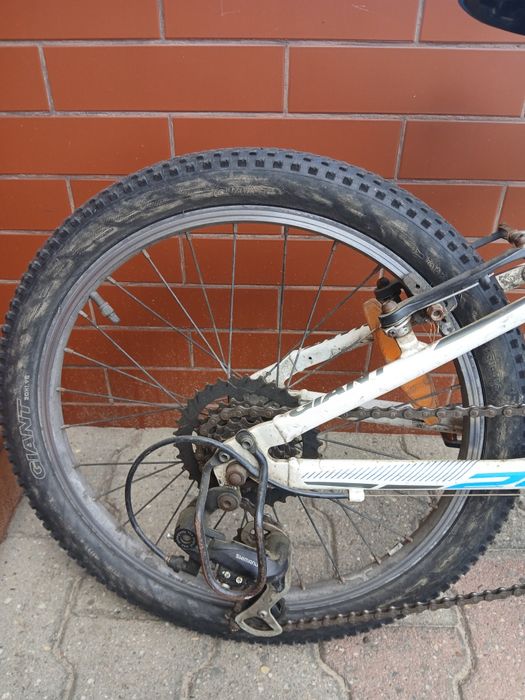 Rower dziecięcy Giant koła 20"
