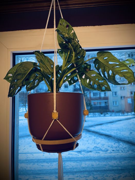 Doniczki/oslonki ceramax