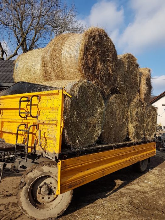 Siano w belach baloty rolki