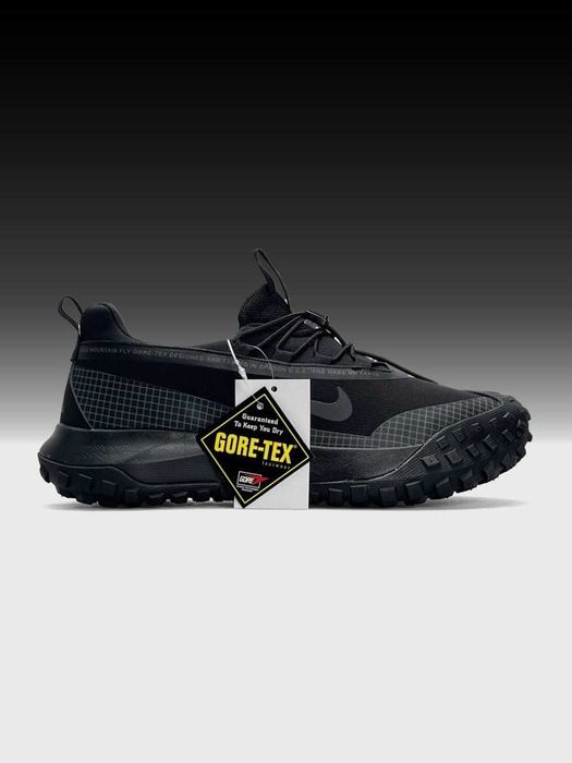 Кросівки  чоловічі Nike ACG Mountain Fly Low Gore-Tex