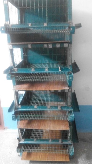 Клетка для перепелов