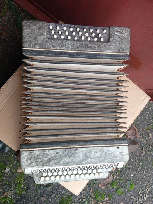 Гармонь гармошка Весна или Украина