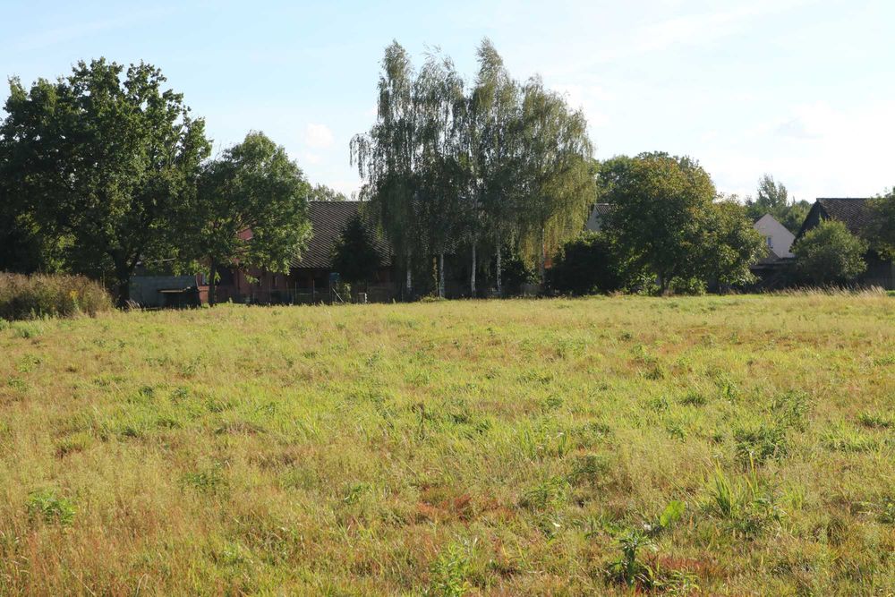 płaska, foremna działka z warunkami - Widok 3