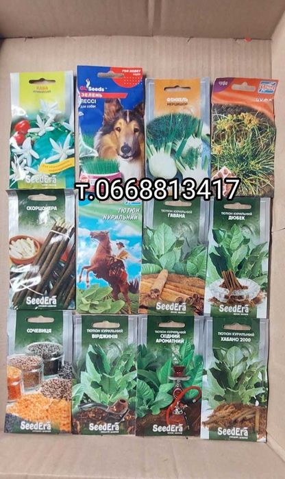 Лікарські рослини Ківано Мелотрія Мамордика Шалфей Лаванда Тархун Чере