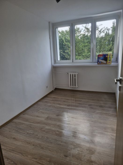 Dąbrowa 36,74 m²