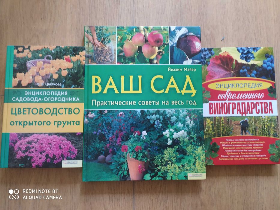 Дары Природы. Травы, ягоды,грибы. Аксенова, Цветкова