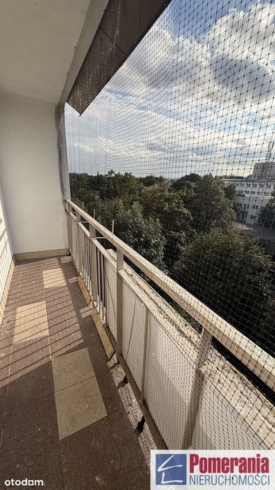 Zdjęcie 2