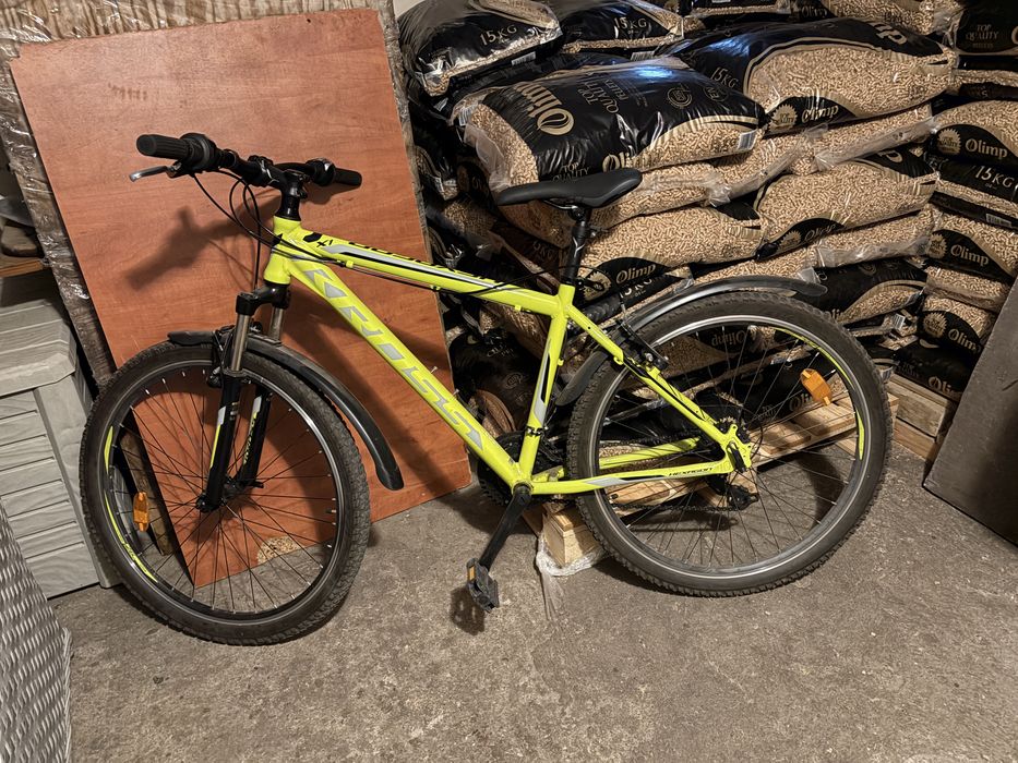 Rower kross x1 hexagon