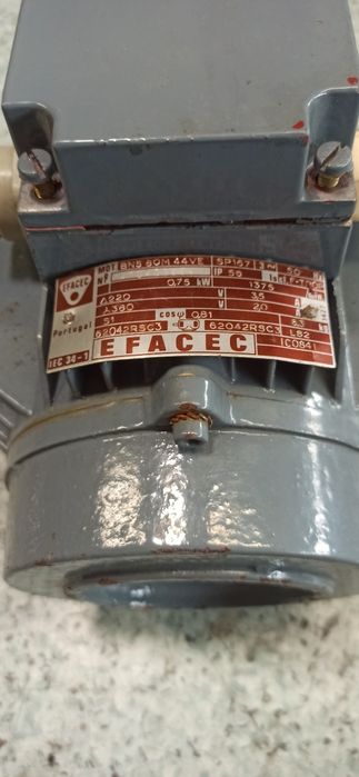 2 Motores efacec ...