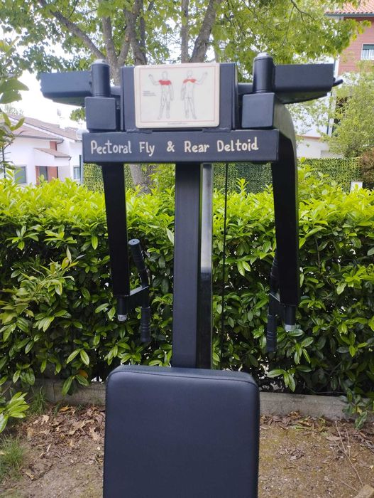 máquina pec fly e rear deltoid