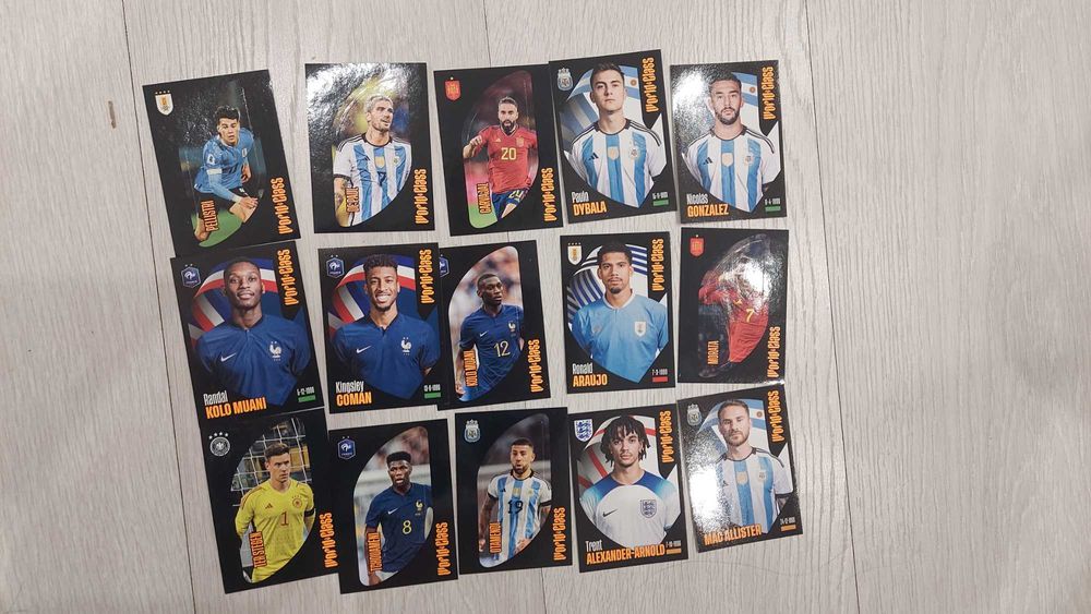 Стікери Panini World Class 2024