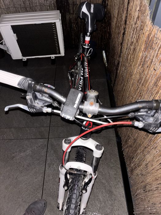 Rower mtb góral Alpina