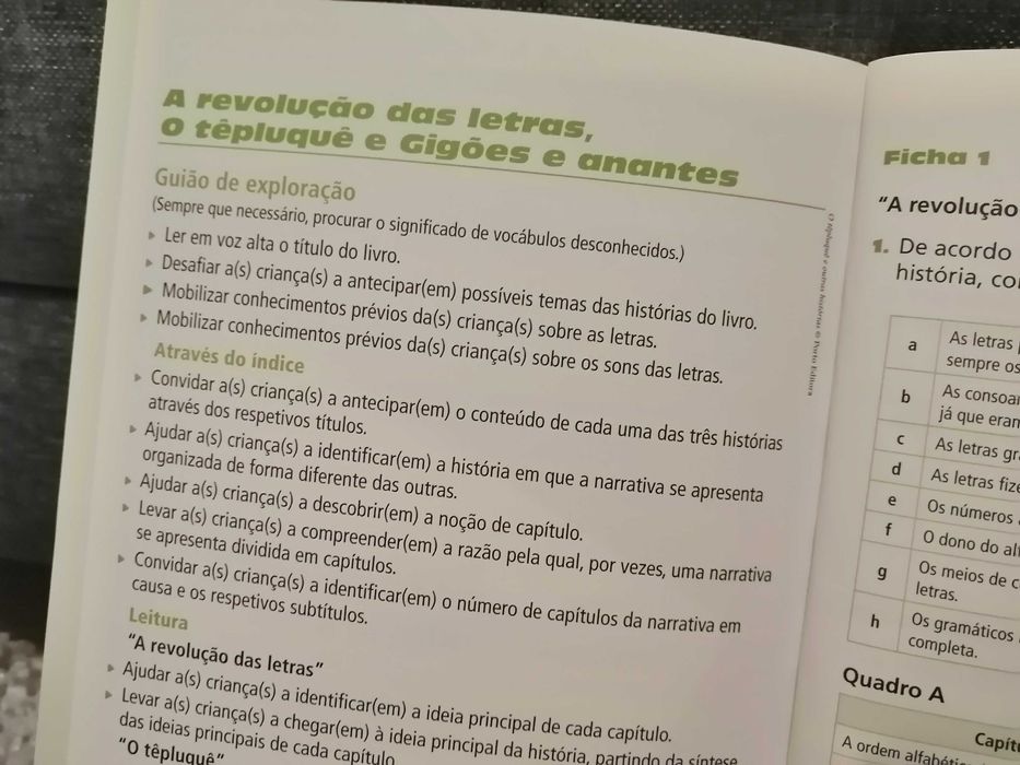 Livros PNL 1 ciclo para o 1º e 2º ano