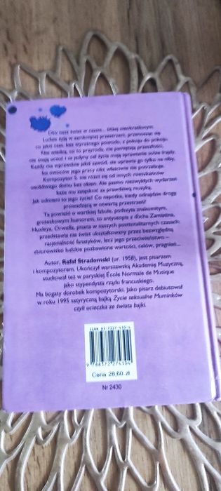 Widok z pokoju bez okien Rafał Stradomski