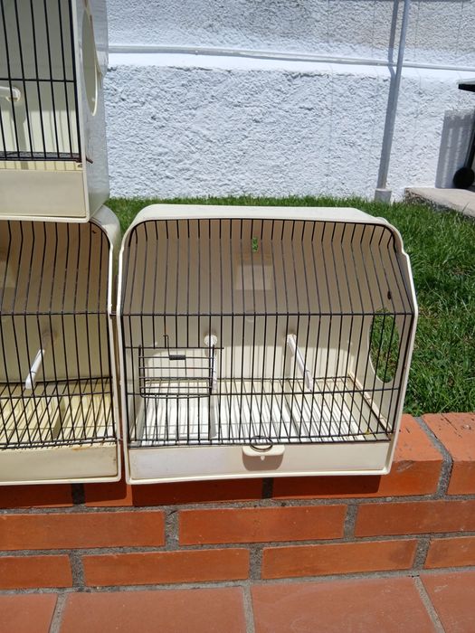 Gaiolas para canários