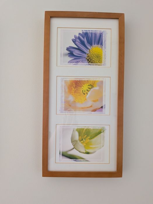 Quadro com estampas de flores