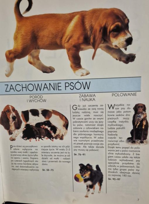 Książka  album Pies moj przyjaciel