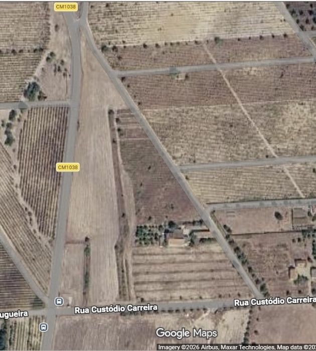 Título do anúncio  Terreno Agrícola aproximadamente 15.000m² com Poço, Eletricidade e Árvores de Fruto – Fernão Pó, Palmela