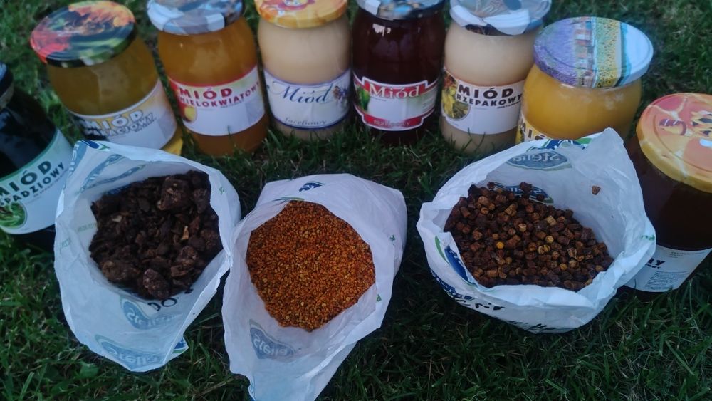 Miód, pyłek pszczeli, pierzga, propolis.