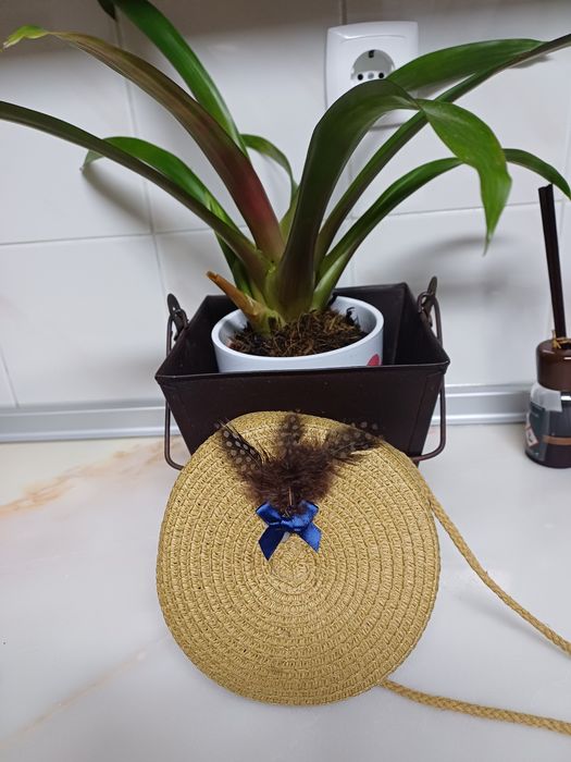 Varias bolsas  personalizadas