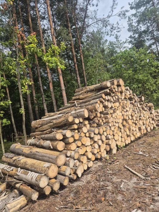 Drewno opałowe Dąb Brzoza Olcha