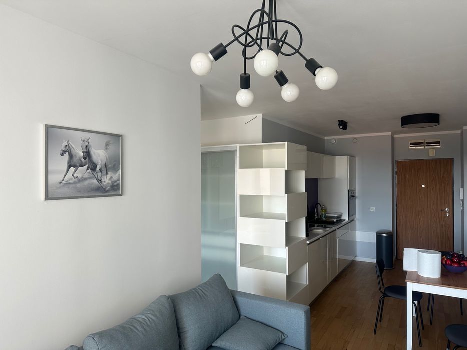 Mieszkanie na wynajem