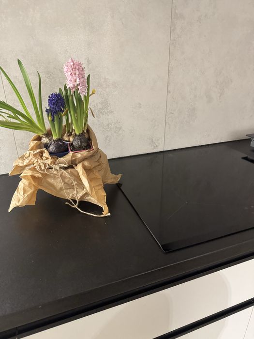 варильна поверхня electrolux ipe6450kf індукційна индукционная плита