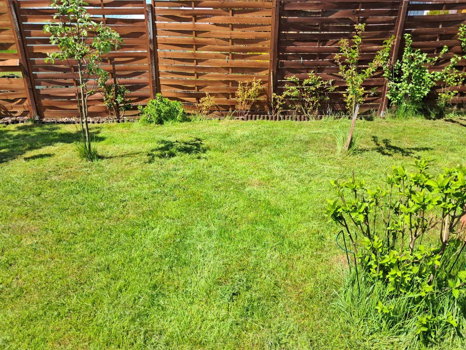 Prawa do użytkowania ogródka działkowego ROD - View 3