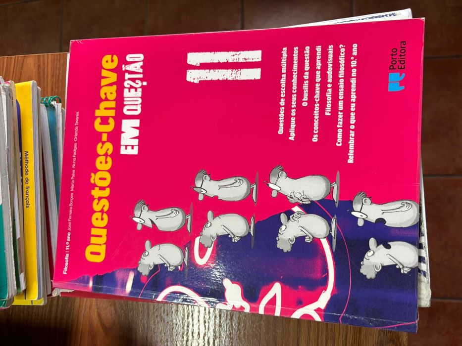 Livros Escolares 11º Ano 10 €
