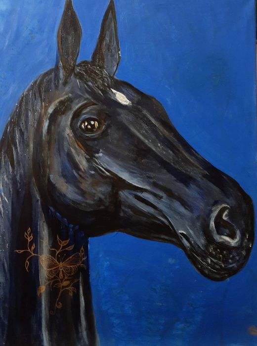 Czarny koń  obraz 80x60 cm