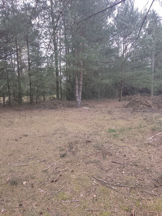 Działka koło rzeki Wda