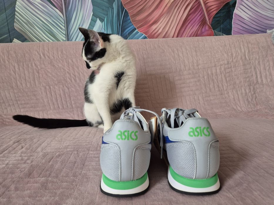 Nowe buty Asics Tiger Runner#rozm.41.5# wkładka mierzona ręcznie 26.5cm