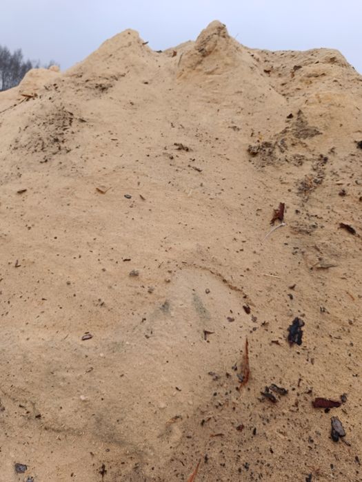 Trociny, trocina czysta