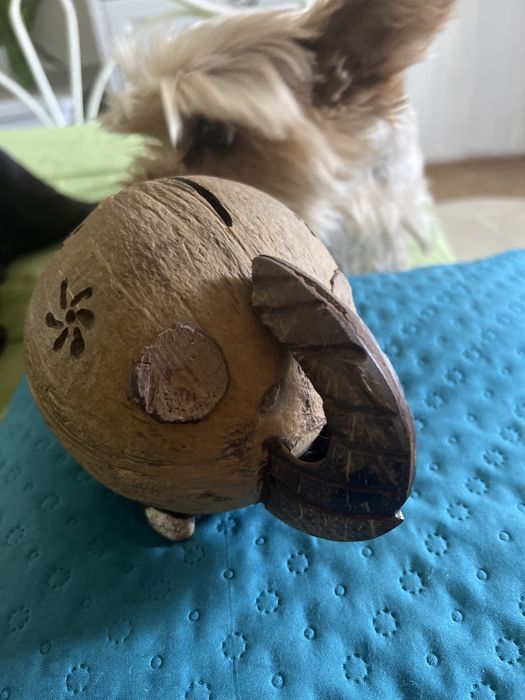 Skarbonka słoń z kokosa