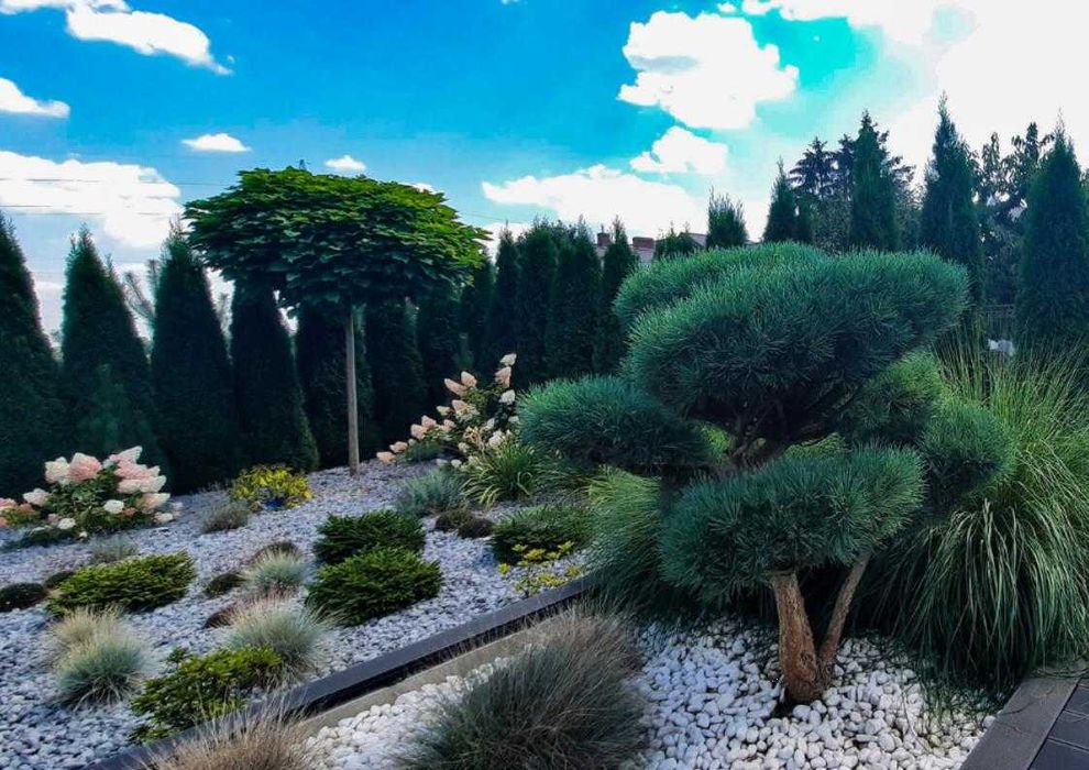 Zakładanie Ogrodów Systemy Nawadniania Zraszacze Trawniki z Rolki Siew