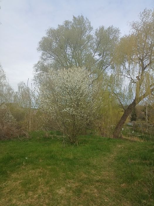 Глеваха-3, будинок(дача),ділянка 5 сот.,озеро поруч.