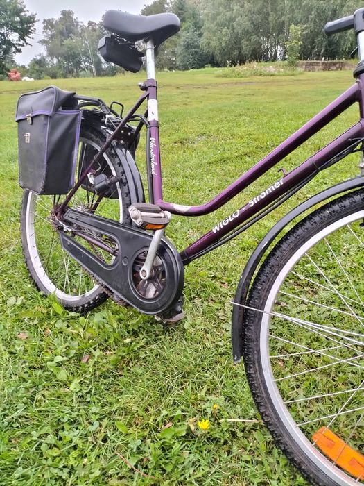 Rower elektryczny XXL dla b ciężkich ludzi Dębina • OLX.pl