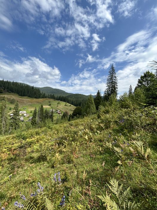 Продається 1.2 гектара з можливістю зміни цільового призначення