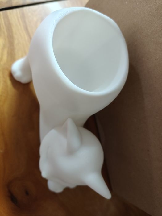 Doniczka rozciągający się kotek