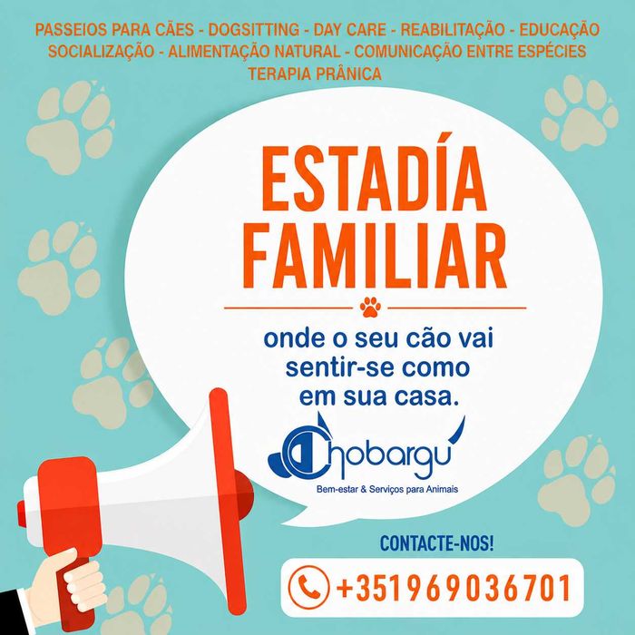 Caminhadas, Creche, Estadia Familiar, Educaçao e Rehabilitaçao de Caes